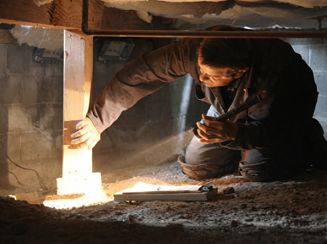 A professional inspecting wooden beams under the floor of a structure in Wilmington, NC
